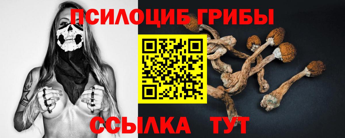 Псилоцибиновые грибы прущие грибы  Вход с VPN  Вязьма 
